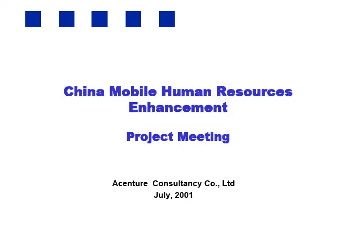 中国移动人力资源项目薪酬及期权项目报告说明会