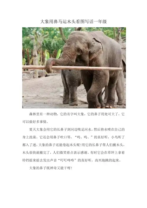 大象用鼻马运木头看图写话一年级