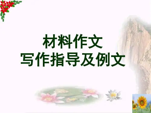 新材料作文写作指导及例文ppt课件
