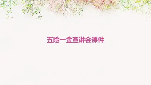五险一金宣讲会课件