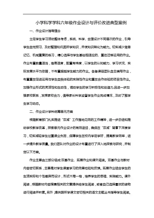 小学科学学科六年级作业设计与评价改进典型案例