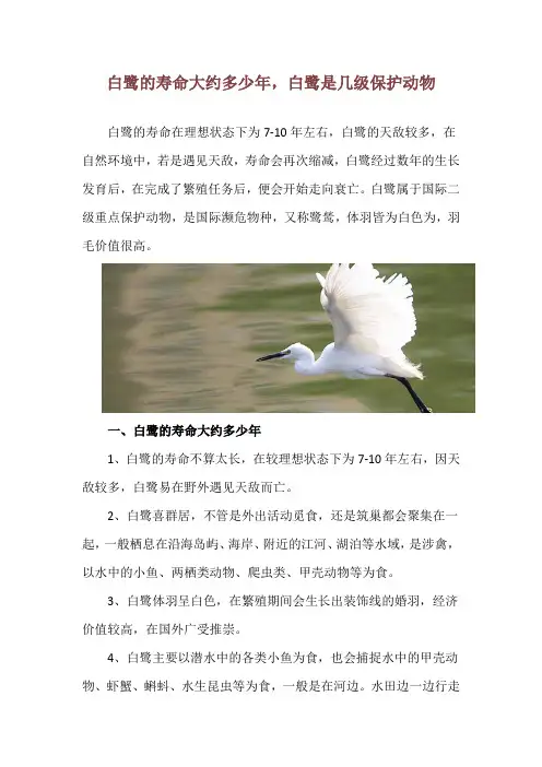 白鹭的寿命大约多少年,白鹭是几级保护动物