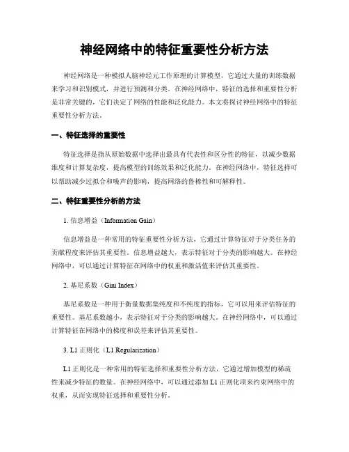 神经网络中的特征重要性分析方法