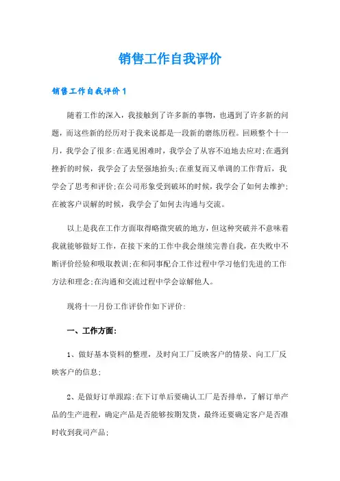 销售工作自我评价