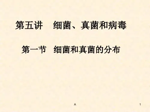 细菌和真菌的分布_PPT课件