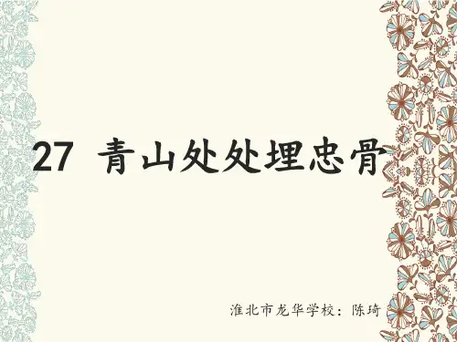 27 青山处处埋忠骨