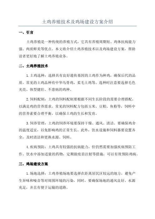 土鸡养殖技术及鸡场建设方案介绍