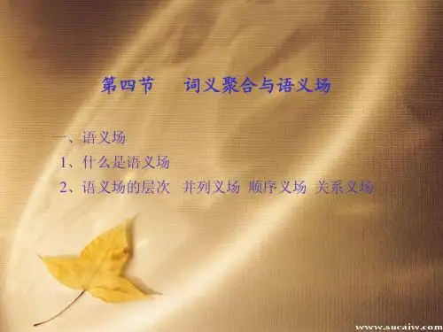词义聚合与语义场