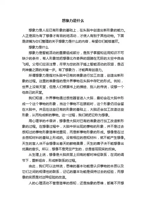 想象力是什么