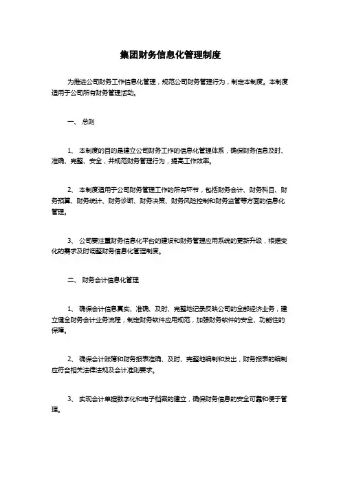 集团财务信息化管理制度