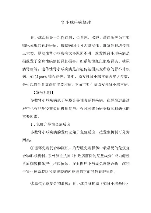 肾小球疾病概述
