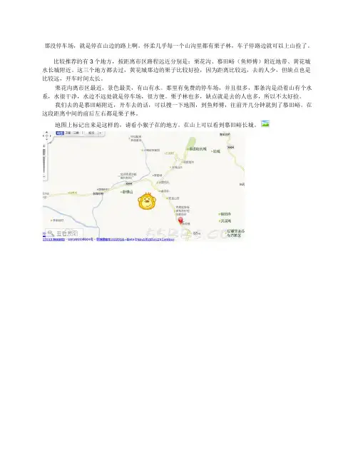 捡栗子