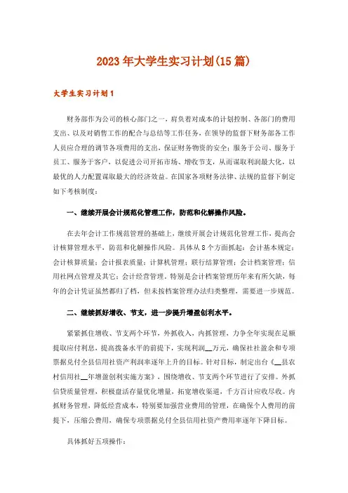 2023年大学生实习计划(15篇)