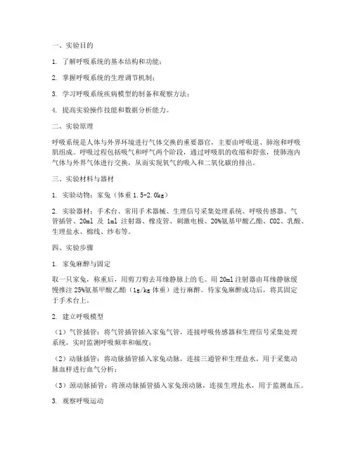 呼吸系实验报告