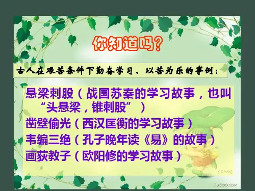 苏教版八年级下册全册课文课件PPT及教案(海燕等62个) 苏教版15