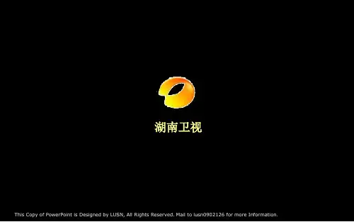 湖南卫视战略管理-30页精选文档