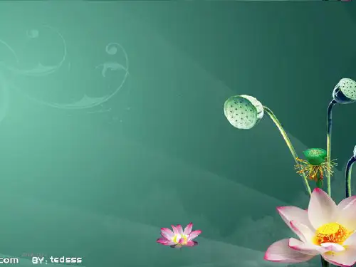 环境描写写作训练PPT课件