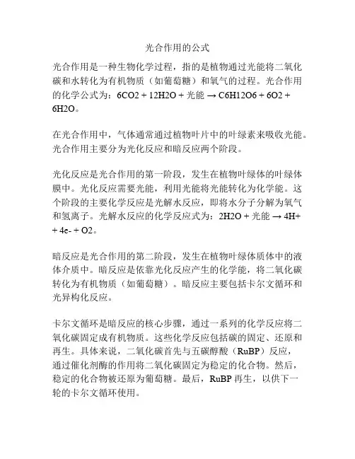 光合作用的公式