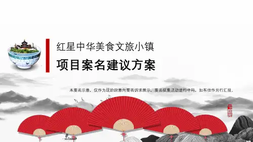 红星中华美食文旅小镇-项目案名遴选建议方案