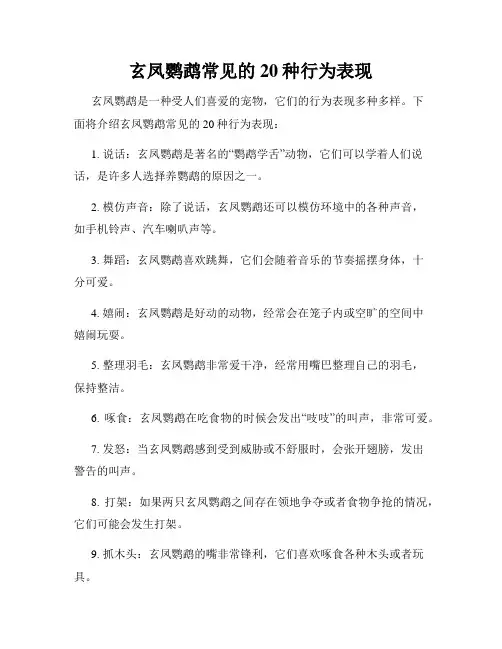 玄凤鹦鹉常见的20种行为表现