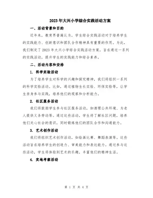 2023年大兴小学综合实践活动方案