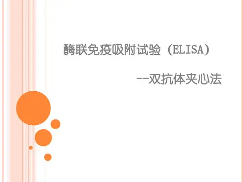 酶联免疫吸附试验(ELISA)