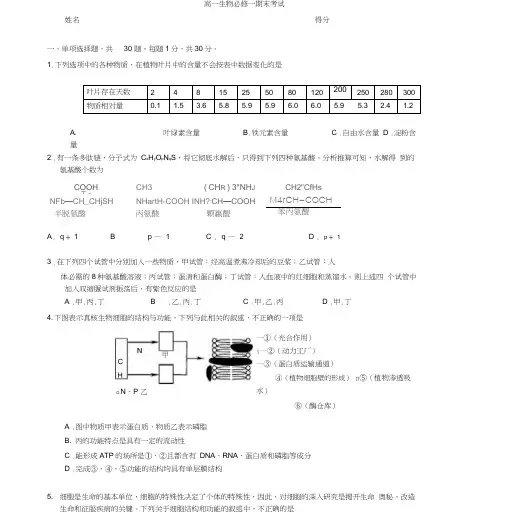 高一生物必修一期末考试1(附答案)