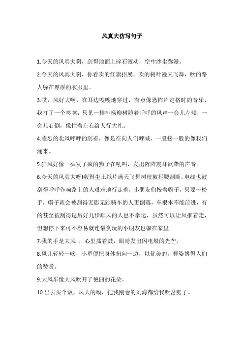 风真大仿写句子