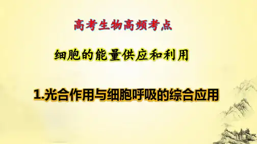 高考生物高频考点：1.光合作用与细胞呼吸的综合应用