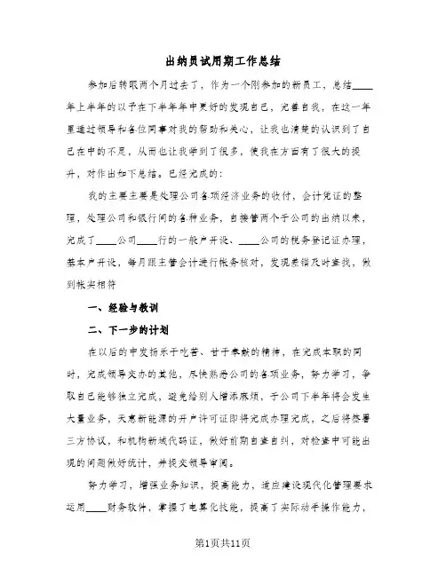 出纳员试用期工作总结(7篇)