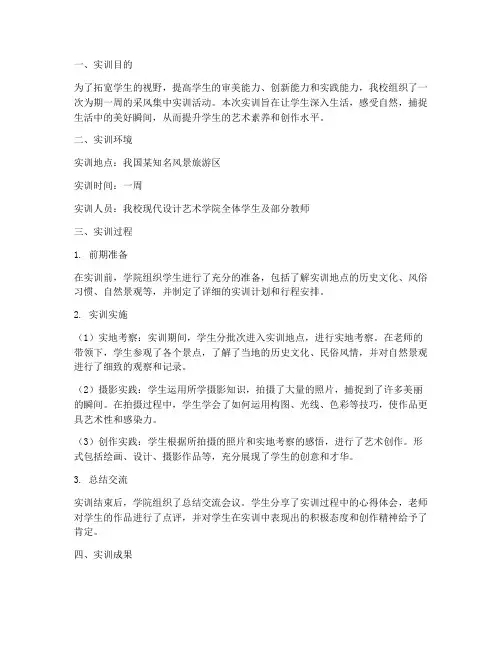 采风集中实训报告