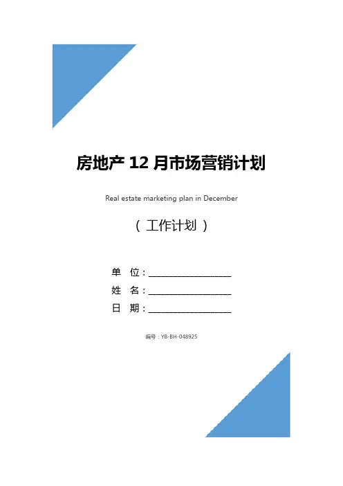 房地产12月市场营销计划