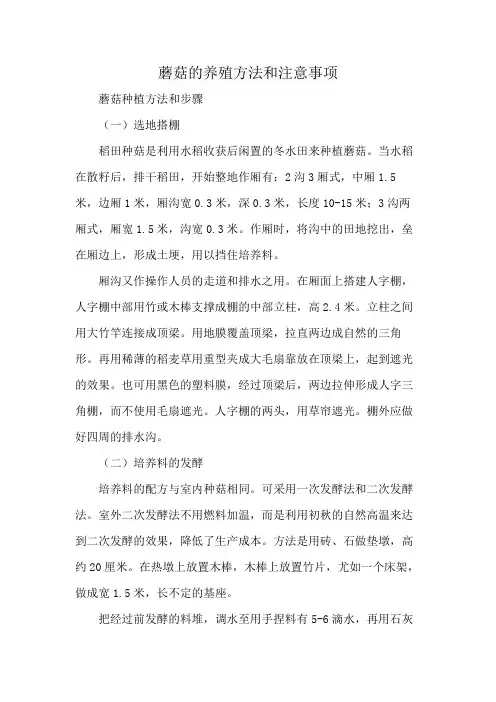 蘑菇的养殖方法和注意事项