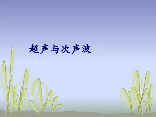 超声与次声波