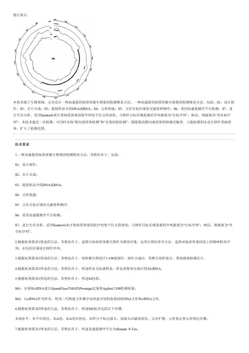 高通量的病原体微生物基因检测筛查方法与设计方案