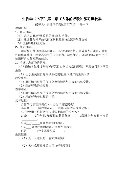 生物人教版七年级下册人体的呼吸复习课