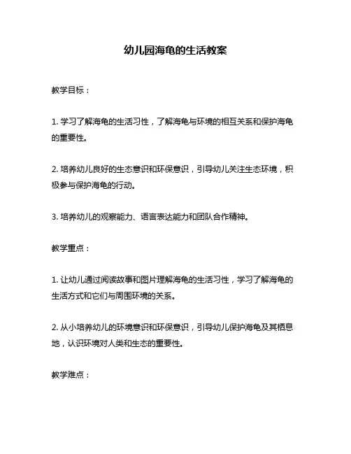 幼儿园海龟的生活教案
