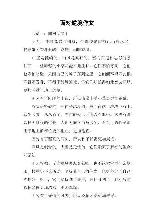 面对逆境作文