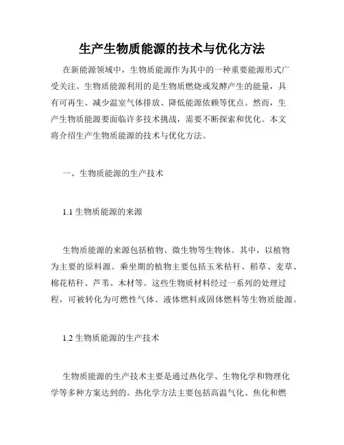 生产生物质能源的技术与优化方法