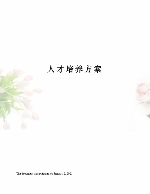 人才培养方案