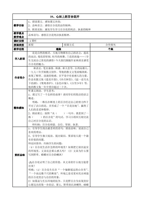心田上的百合花开