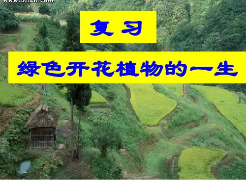 济南版八上第一章绿色开花植物的一生  课件