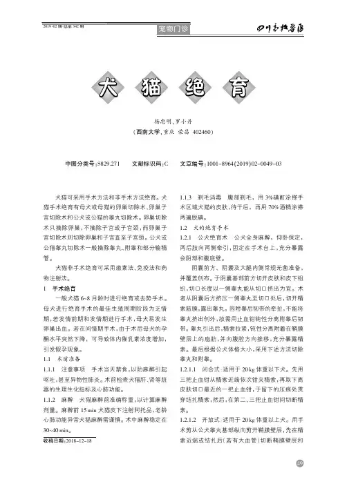 犬猫绝育