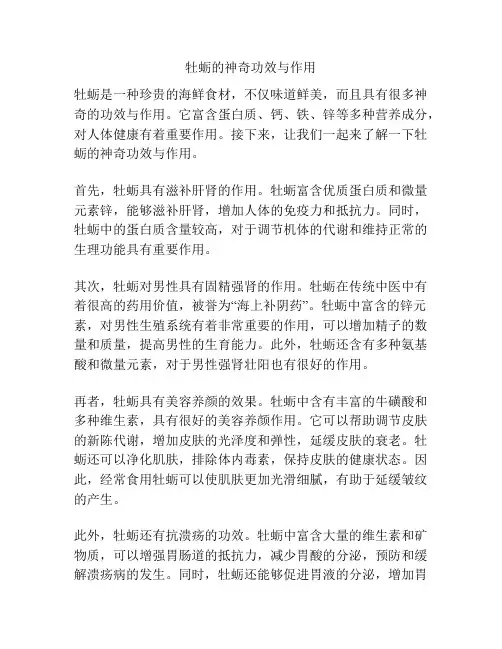 牡蛎的神奇功效与作用