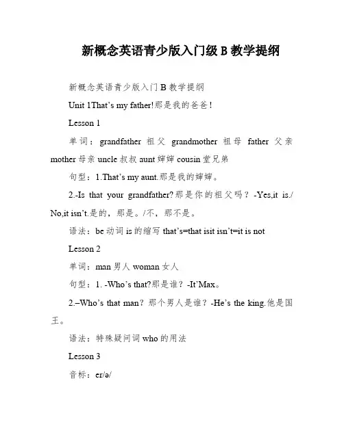 新概念英语青少版入门级B教学提纲