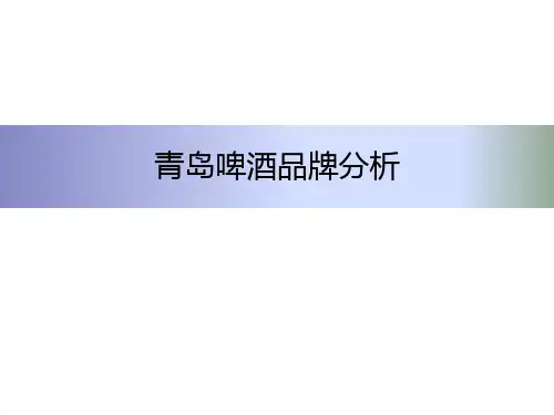 啤酒品牌分析.pptx