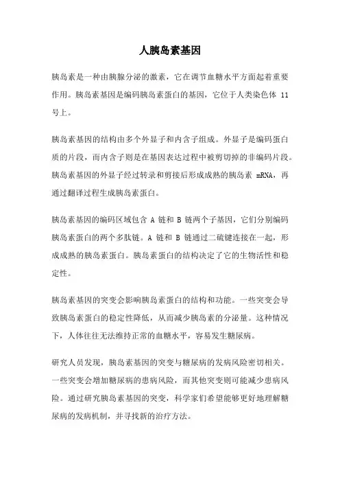 人胰岛素基因