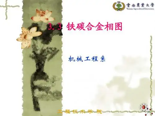 3.3铁碳合金相图