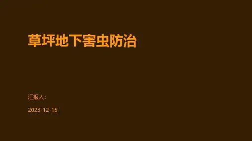 草坪地下害虫防治