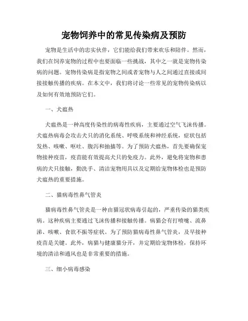 宠物饲养中的常见传染病及预防